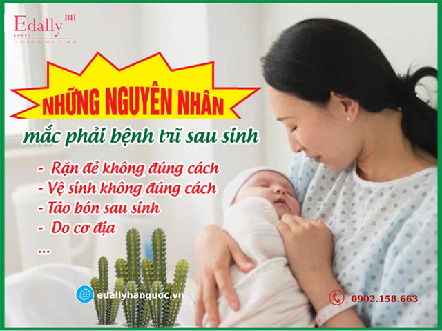 Những nguyên nhân làm mắc phải bệnh trĩ khi mang thai và sau sinh