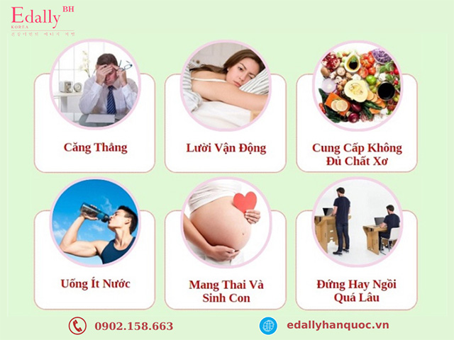 Nguyên nhân gây bệnh trĩ