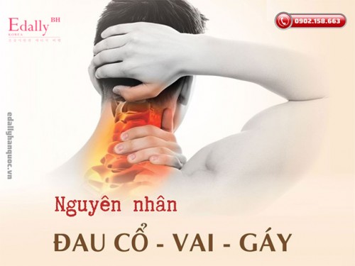 Nguyên Nhân Gây Đau Mỏi Cổ Vai Gáy