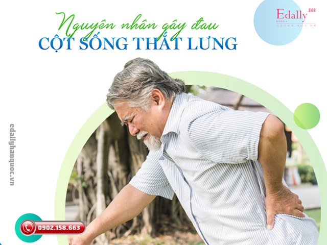 Những nguyên nhân gây ra hội chứng đau thắt lưng là gì?