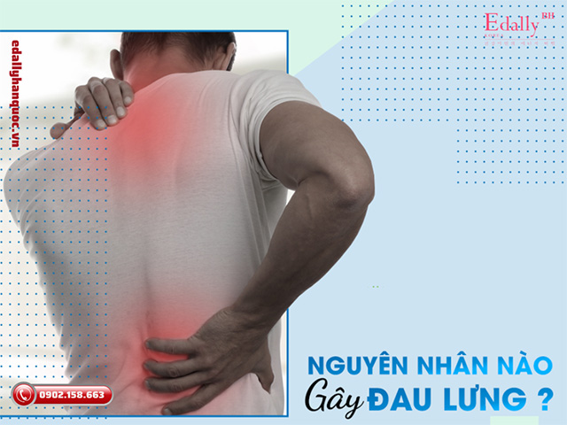 Nguyên nhân gây đau lưng dai dẳng là gì?