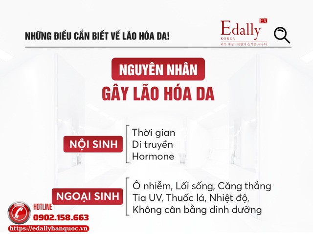 Những nguyên nhân gây ra tình trạng lão hóa da