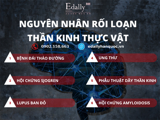 Những nguyên nhân gây bệnh rối loạn thần kinh thực vật