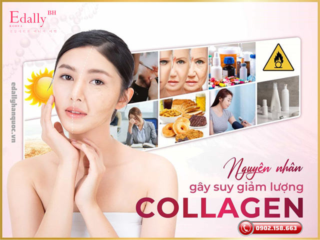 Những nguyên nhân gây tổn thương và suy giảm collagen tự nhiên