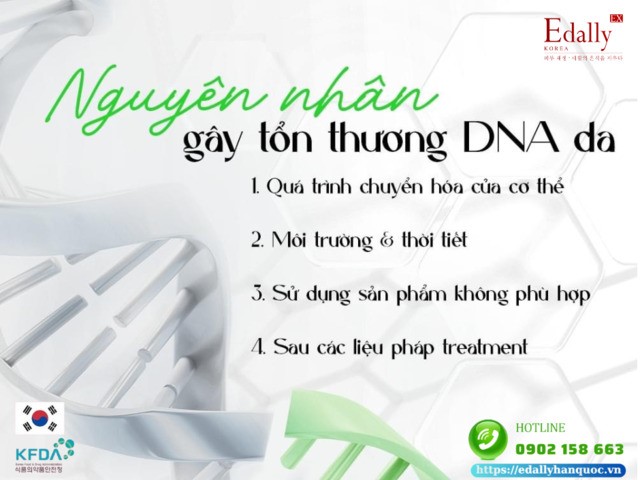 Nguyên nhân gây tổn thương DNA da là gì?