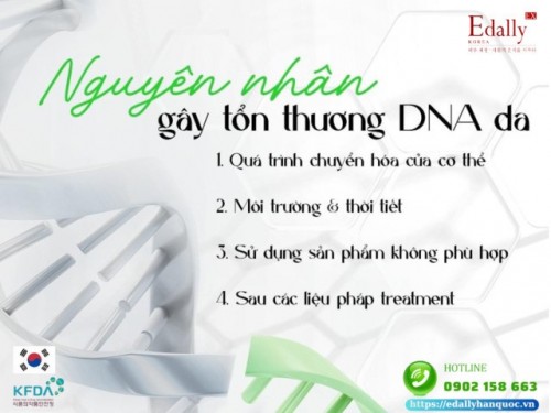 Nguyên Nhân Gây Tổn Thương DNA Da