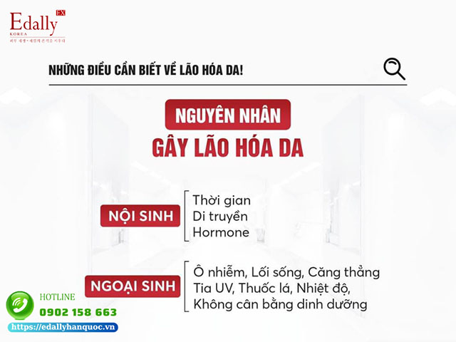 Những nguyên nhân gây da lão hóa