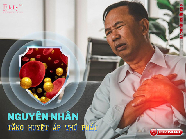 Những nguyên nhân tăng huyết áp thứ phát là gì?