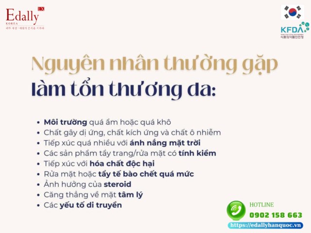 Nguyên nhân thường gặp khiến hàng rào bảo vệ da bị tổn thương và suy yếu