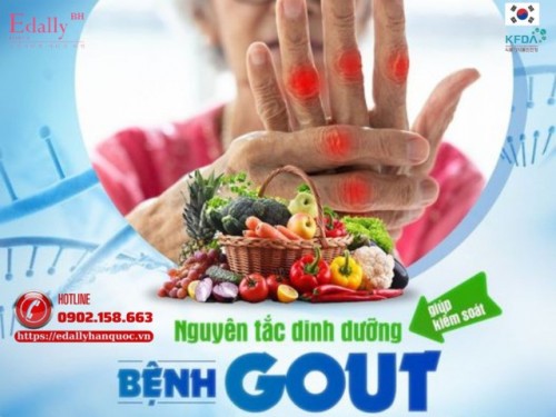 Bệnh Gout Nên Lựa Chọn Thức Ăn Như Thế Nào?