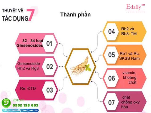 Nhân sâm Hàn Quốc chứa hàm lượng Ginsenoside vượt trội mang đến nhiều tác dụng giá trị cho sức khỏe người dùng