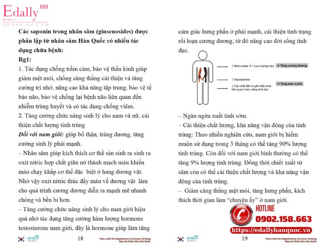 Nhân sâm Hàn Quốc có tác dụng cải thiện chất lượng tinh trùng ở nam giới Nhân sâm Hàn Quốc có tác dụng cải thiện chất lượng tinh trùng ở nam giới
