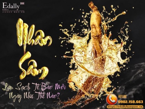 Nhân Sâm Hàn Quốc Làm Sạch Tế Bào Mỗi Ngày Như Thế Nào?