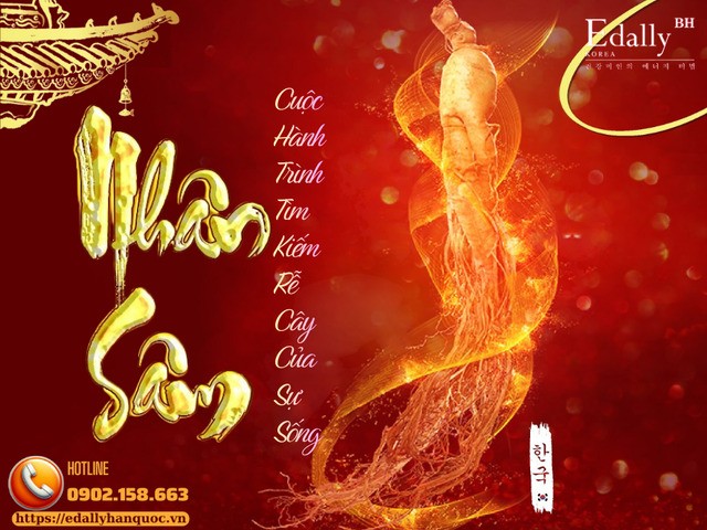 Nhân Sâm - Cuộc Hành Trình Tìm Kiếm Rễ Cây Của Sự Sống