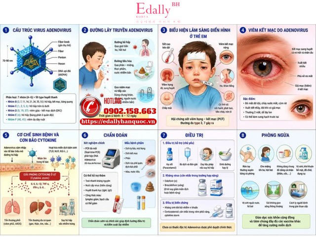 Nhiễm Adenovirus ở trẻ em: Từ dịch tễ học đến thực hành lâm sàng - trọng tâm vào hội chứng sốt cao và viêm kết mạc nặng Nhiễm Adenovirus ở trẻ em: Từ dịch tễ học đến thực hành lâm sàng - trọng tâm vào hội chứng sốt cao và viêm kết mạc nặng