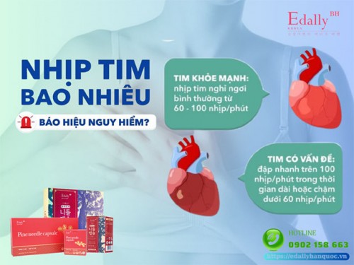 Nhịp Tim Nhanh, Chậm Bao Nhiêu Báo Hiệu Nguy Hiểm? 