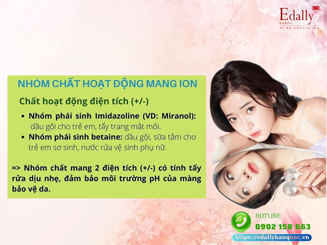 Nhóm chất hoạt động bề mặt mang ion (-)(+)