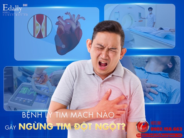 Những bệnh tim mạch nào gây ngừng tim đột ngột?
