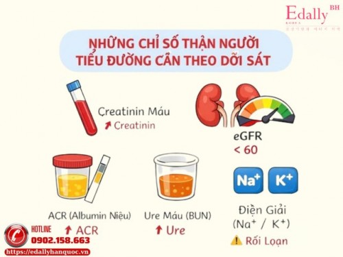 Những Chỉ Số Xét Nghiệm Thận Người Bệnh Tiểu Đường Cần Theo Dõi Sát
