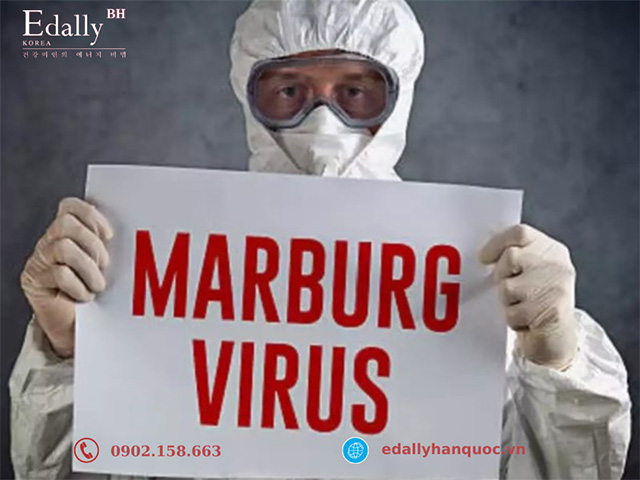 Những điều cần biết về virus gây bệnh Marburg