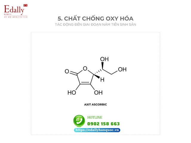 Những hoạt chất chống oxy hóa điều trị nám da dai dẳng 