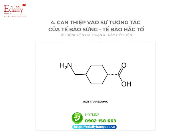 Những hoạt chất điều trị nám da dai dẳng bằng cách can thiệp vào sự tương tác của tế bào sừng - tế bào hắc tố