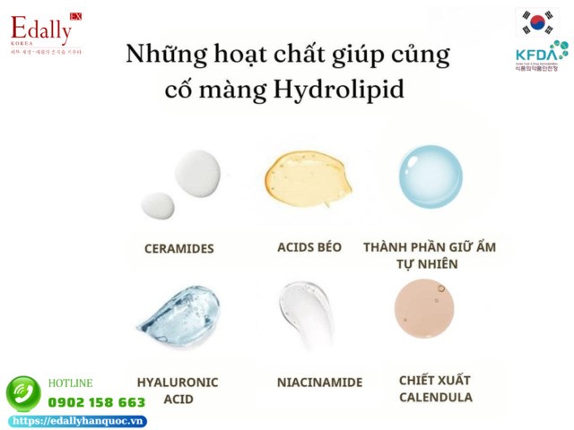 Các hoạt chất giúp củng cố lớp màng Hydrolipid của da