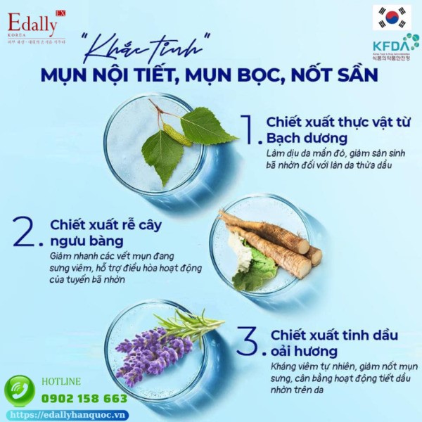 Những thành phần thiên nhiên đắt giá giúp xử lý mụn nội tiết, mụn bọc, nốt sần