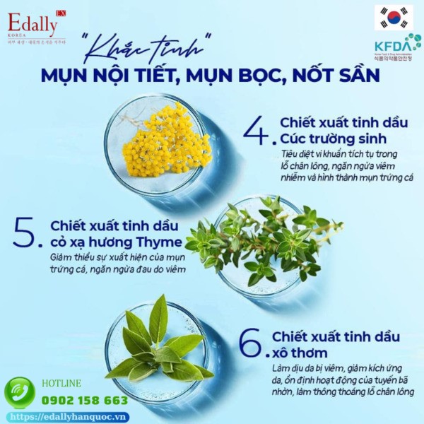 Những thành phần thiên nhiên đắt giá giúp xử lý mụn nội tiết, mụn bọc và nốt sần