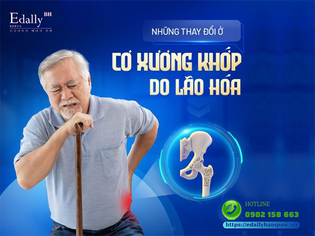 Những thay đổi ở Cơ xương khớp do lão hóa