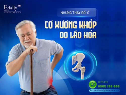 Lão Hóa Làm Thay Đổi Cơ Xương Khớp Như Thế Nào?