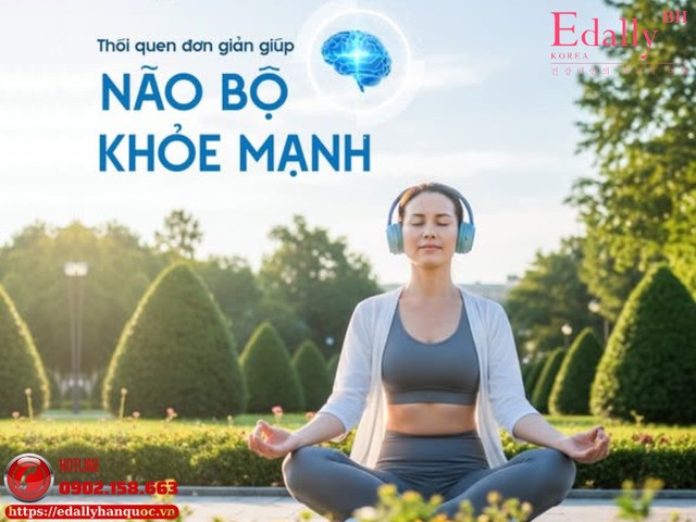 Cách Bảo Vệ Não Bộ Khỏi Lão Hóa Và Đột Quỵ