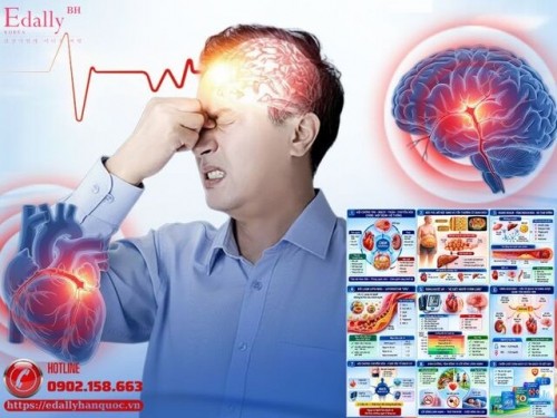 Các Yếu Tố Chuyển Hóa Làm Tăng Nguy Cơ Bệnh Tim Mạch Và Đột Quỵ (Phần 2)