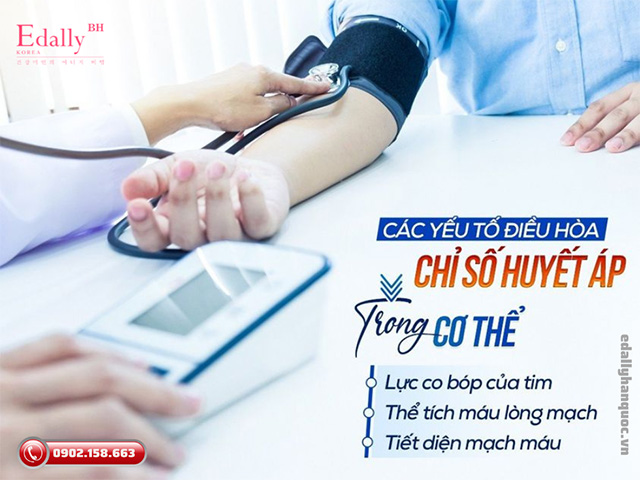 Các yếu tố điều hòa chỉ số huyết áp trong cơ thể