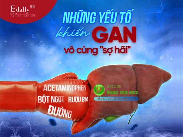 Những yếu tố khiến gan bị quá tải và suy yếu