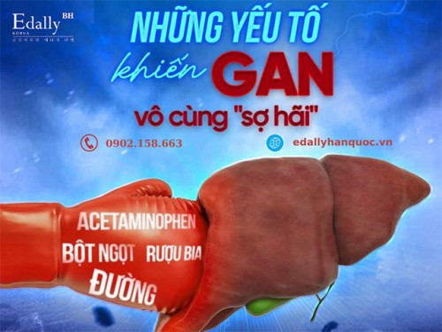 Những Yếu Tố Khiến Gan Vô Cùng Sợ Hãi