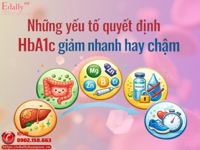 Những yếu tố quyết định chỉ số HbA1c giảm nhanh hay chậm