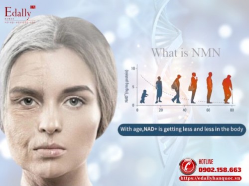 NMN Chống Lão Hóa Và Những Điều Cần Biết Để Tránh Tiền Mất, Tật Mang