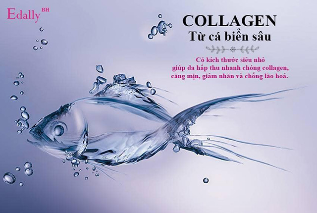 Nước Uống Beauty Super Collagen Edally Hàn Quốc với thành phần chính là Tinh chất collagen cá biển sâu