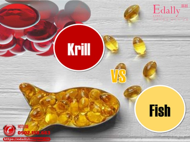 Omega-3 - Dầu cá (Fish Oil) và dầu nhuyễn thể (Krill Oil) nên chọn loại nào? Omega-3 - Dầu cá (Fish Oil) và dầu nhuyễn thể (Krill Oil) nên chọn loại nào?
