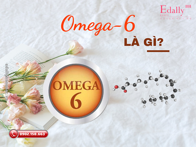Omega-6 là gì?