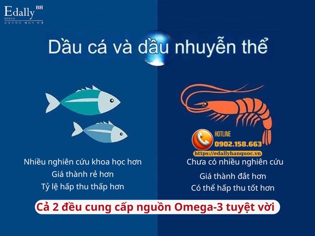 Omega-3 - Dầu Cá (Fish Oil) Và Dầu Nhuyễn Thể (Krill Oil) Nên Chọn Loại Nào? 