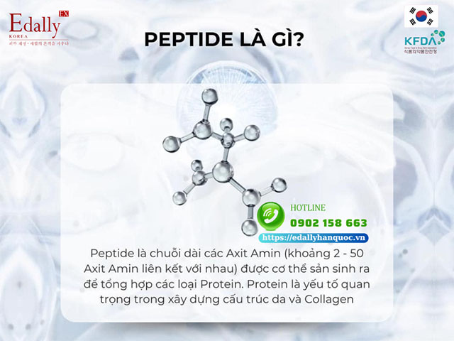 Bạn đã hiểu peptide là gì chưa?