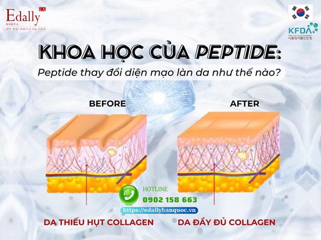 Peptide thay đổi diện mạo làn da như thế nào?