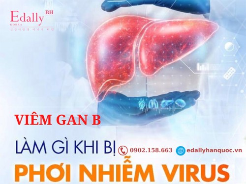 Phải Làm Gì Khi Bị Phơi Nhiễm Virus Viêm Gan B?