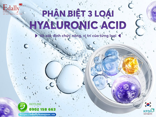 Phân Biệt 3 Loại Hyaluronic Acid (HA) Và Chức Năng, Vị Trí Của Từng Loại