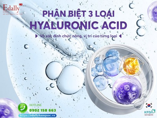 Phân Biệt 3 Loại Hyaluronic Acid (HA) Và Chức Năng, Vị Trí Của Từng Loại