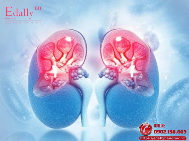 Phân Biệt Chính Xác Thận Âm Hư - Thận Dương Hư - Thận Âm Dương Lưỡng Hư