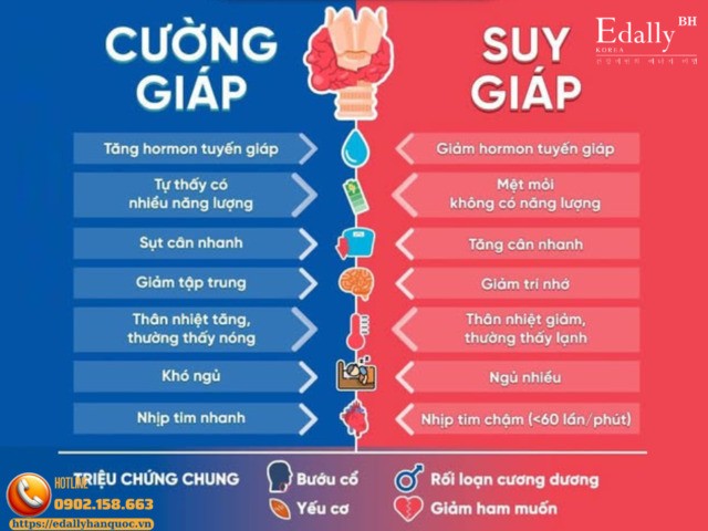 Phân biệt dễ hiểu, dễ nhớ về cường giáp và suy giáp có thể bạn chưa biết
