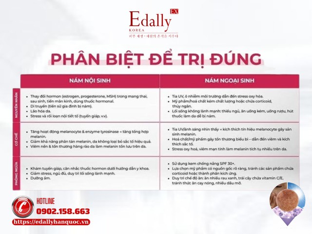 Phân biệt nám nội sinh và nám ngoại sinh